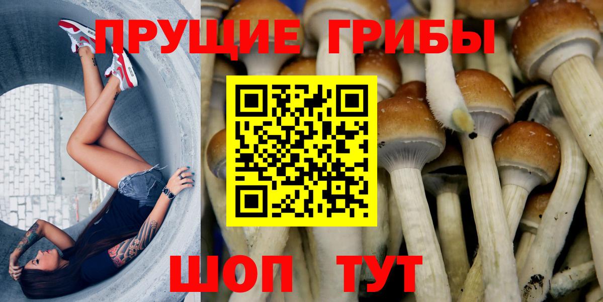 Псилоцибиновые грибы мухоморы Нижнеудинск